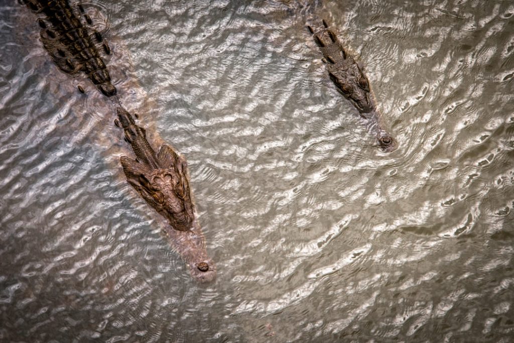 Crocs Costarica