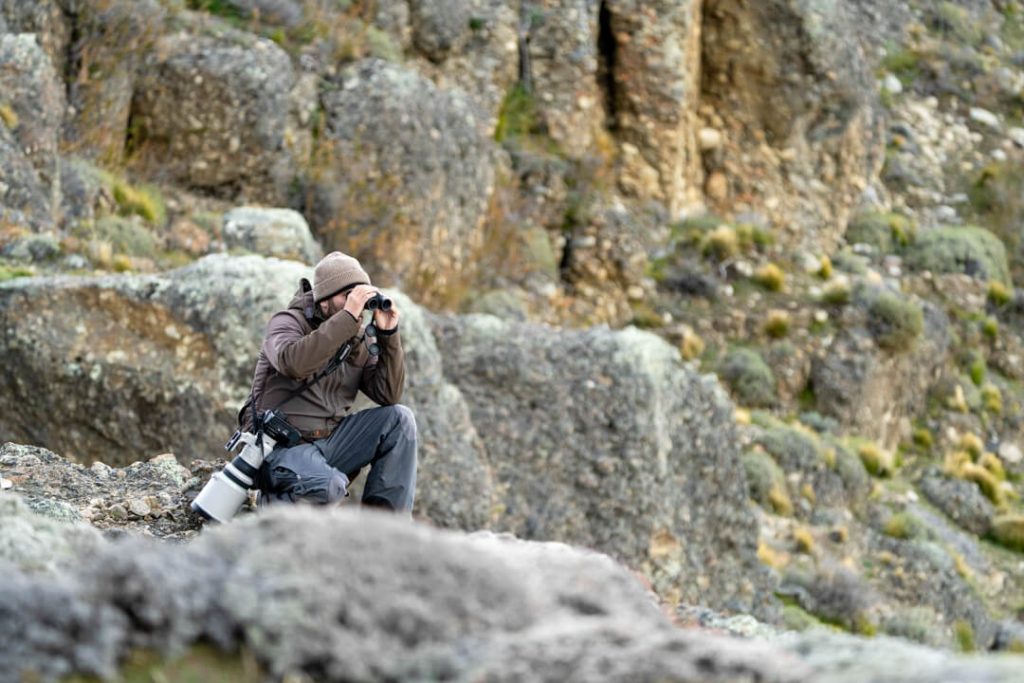 Avvistamento puma Torres del Paine