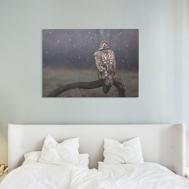 Print Limited Edition "Eagle Under the Snow"