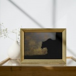 Stampa Fotografica "Bear silhouette"