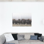 Print Limited Edition "Bison in the Herd"