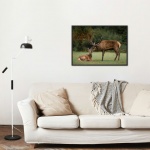 Photographic Print "Affectionate Deer"