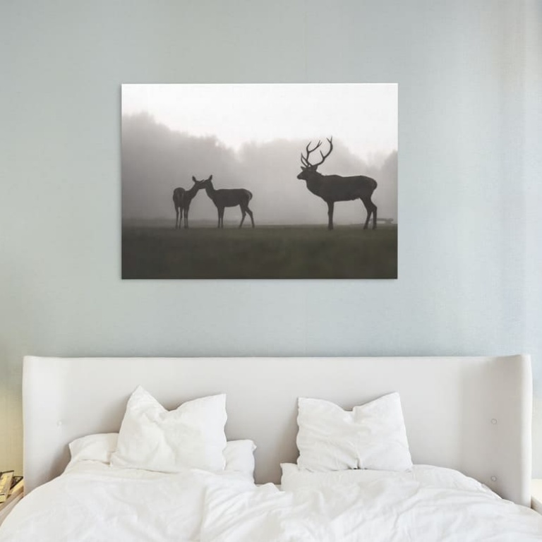 Print Limited Edition "Deer in the Mist"