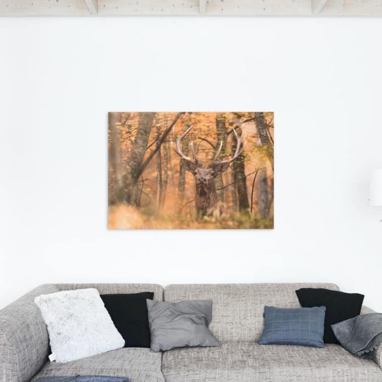 Print Limited Edition "Deer in the Autumn Woods"