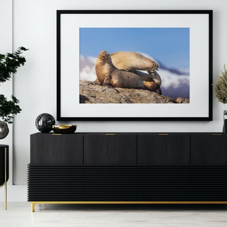 Photographic Print "Chilling on the rocks"