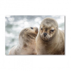 Print Limited Edition "Cuddles with Mom"