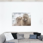 Print Limited Edition "Cuddles with Mom"