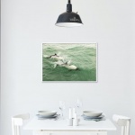 Photographic Print "Commerson dolphin 2"