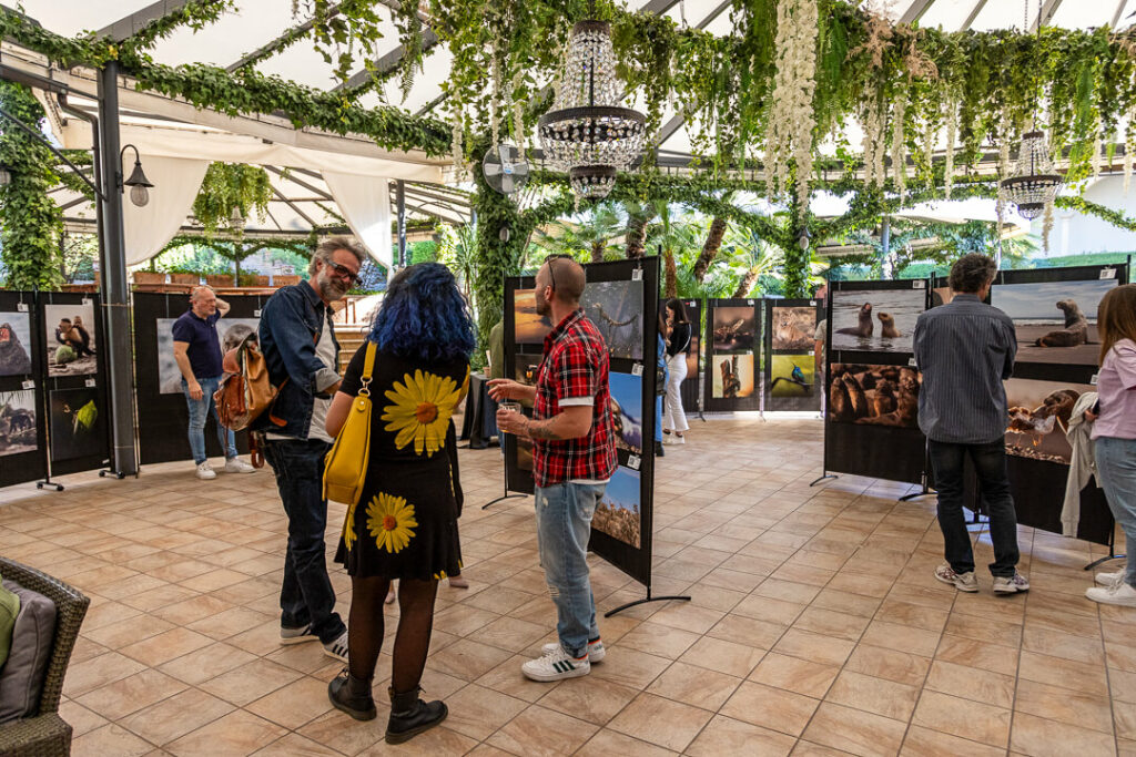 Daniele dell osa mostra fotografica chieti