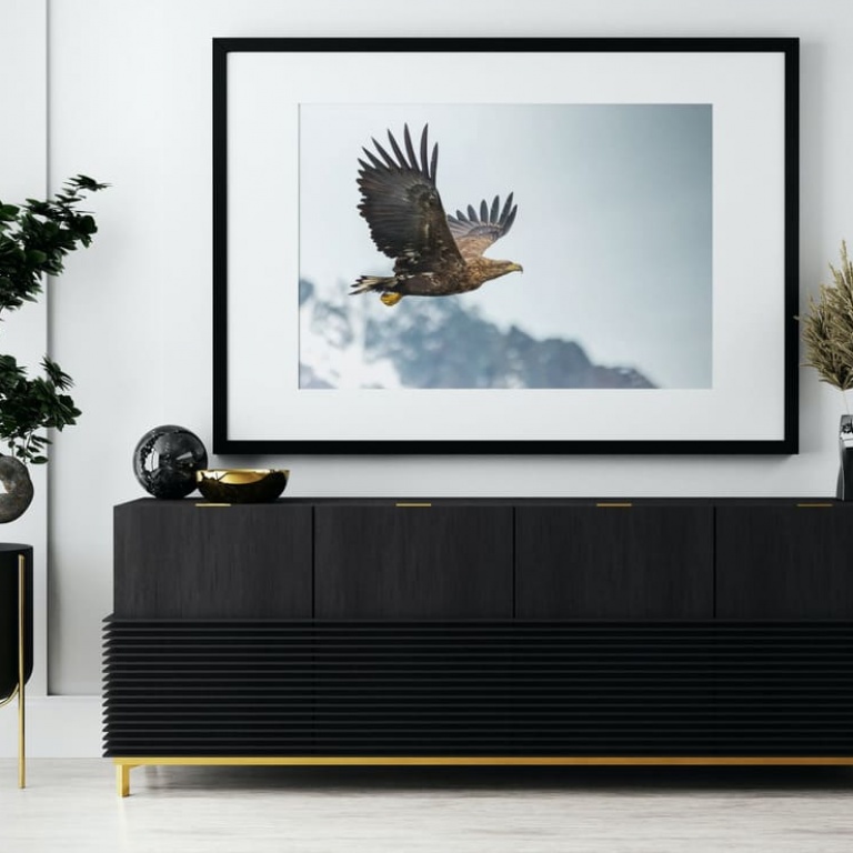 Photographic Print "Eagle in the fjord"