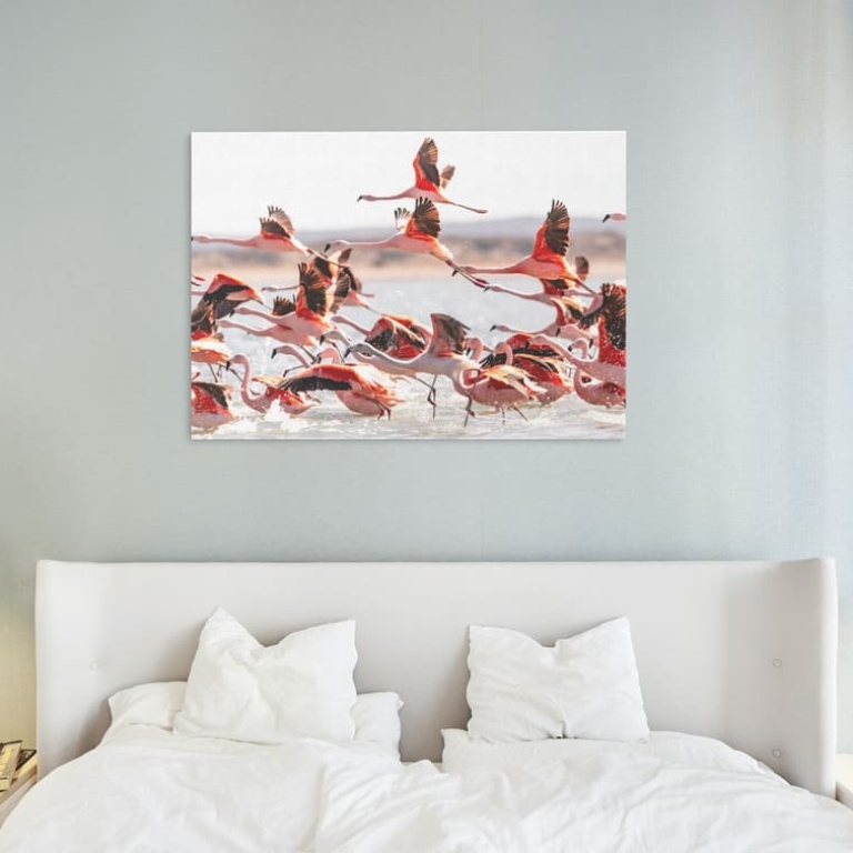 Print Limited Edition "Flamingos in Flight"