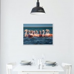 Photographic Print "Flamingoes in the sea"