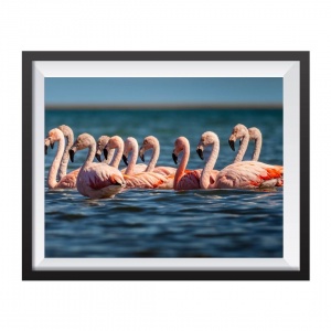 Photographic Print "Flamingoes in the sea"