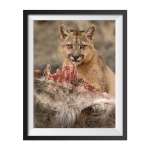 Photographic print "Freash Meal 2"