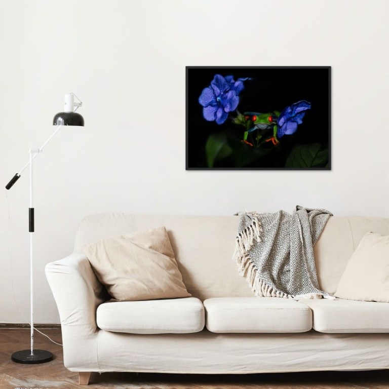 Photographic Print "Frog and flowers 1"