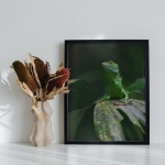 Stampa Fotografica "Green Basilisk on the leaf"