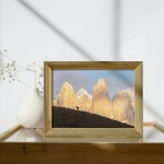 Photographic Print "Guanaco with the three Torres"