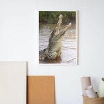 Photographic Print "Hungry Croc"