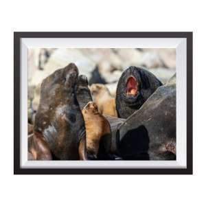 Photographic print "I’m the boss"