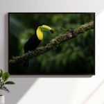 Photographic print "Keel billed toucan"