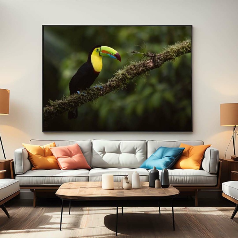 Photographic print "Keel billed toucan"