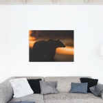 Print Limited edition "Mama bear against the light"