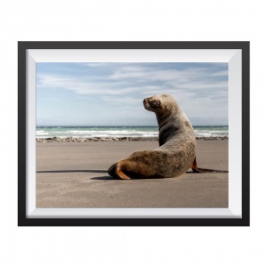Photographic Print "Posing for me"