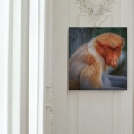 Stampa Fotografica "Proboscis Monkey"