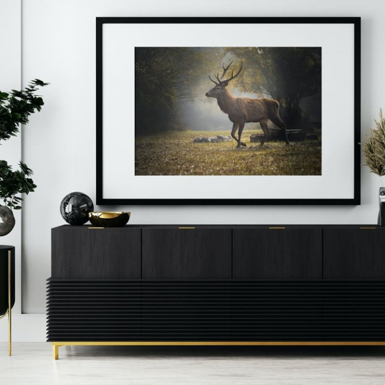 Photographic Print "Red Deer in the camping"