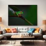 Photographic print "Red Eyed Tree Frog 2"