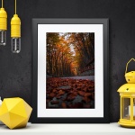Photographic print "Autumn Road"