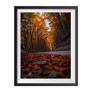 Photographic print "Autumn Road"