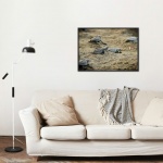 Photographic Print "To the Ocean"