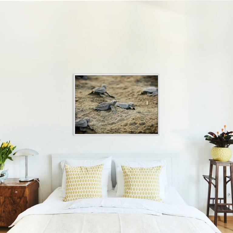 Photographic Print "To the Ocean"
