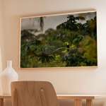 Photographic print "Tucan in the jungle